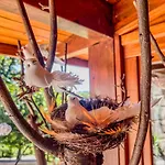 度假居 Casa De Perre *