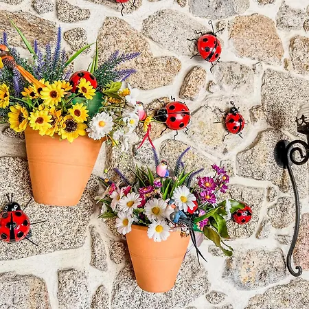 Tatil Evi Casa De Perre *