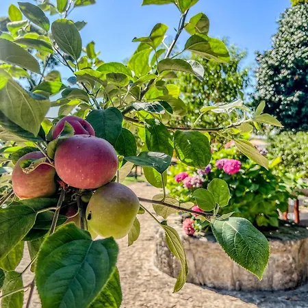 Holiday home Casa De Perre *