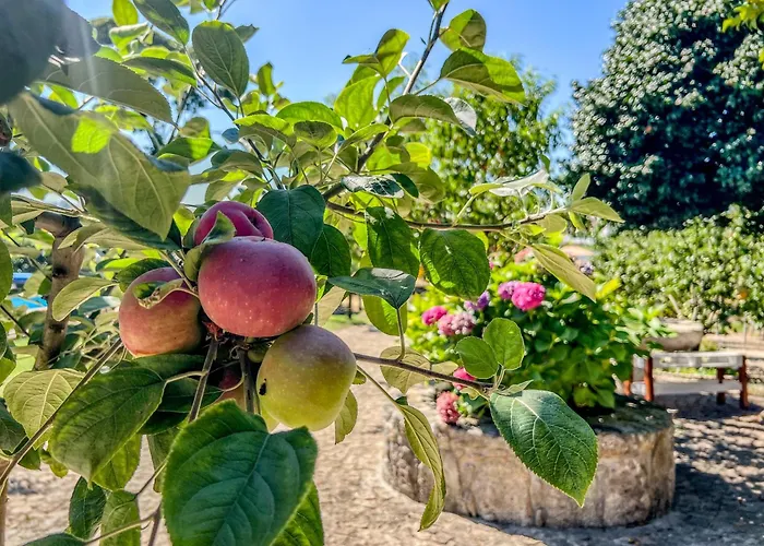Hébergement de vacances Casa De Perre *